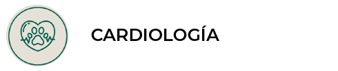 Cardiología en Panda veterinaria