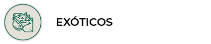 Exóticos en Panda veterinaria