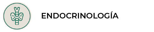 Endocrinología en Panda veterinaria