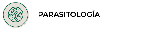 Parasitología en Panda veterinaria