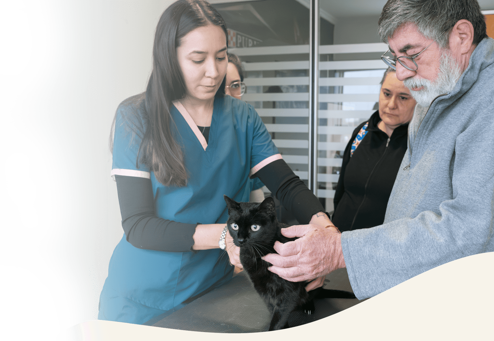 Especialidades Veterinarias en Alta Complejidad en Panda Veterinaria