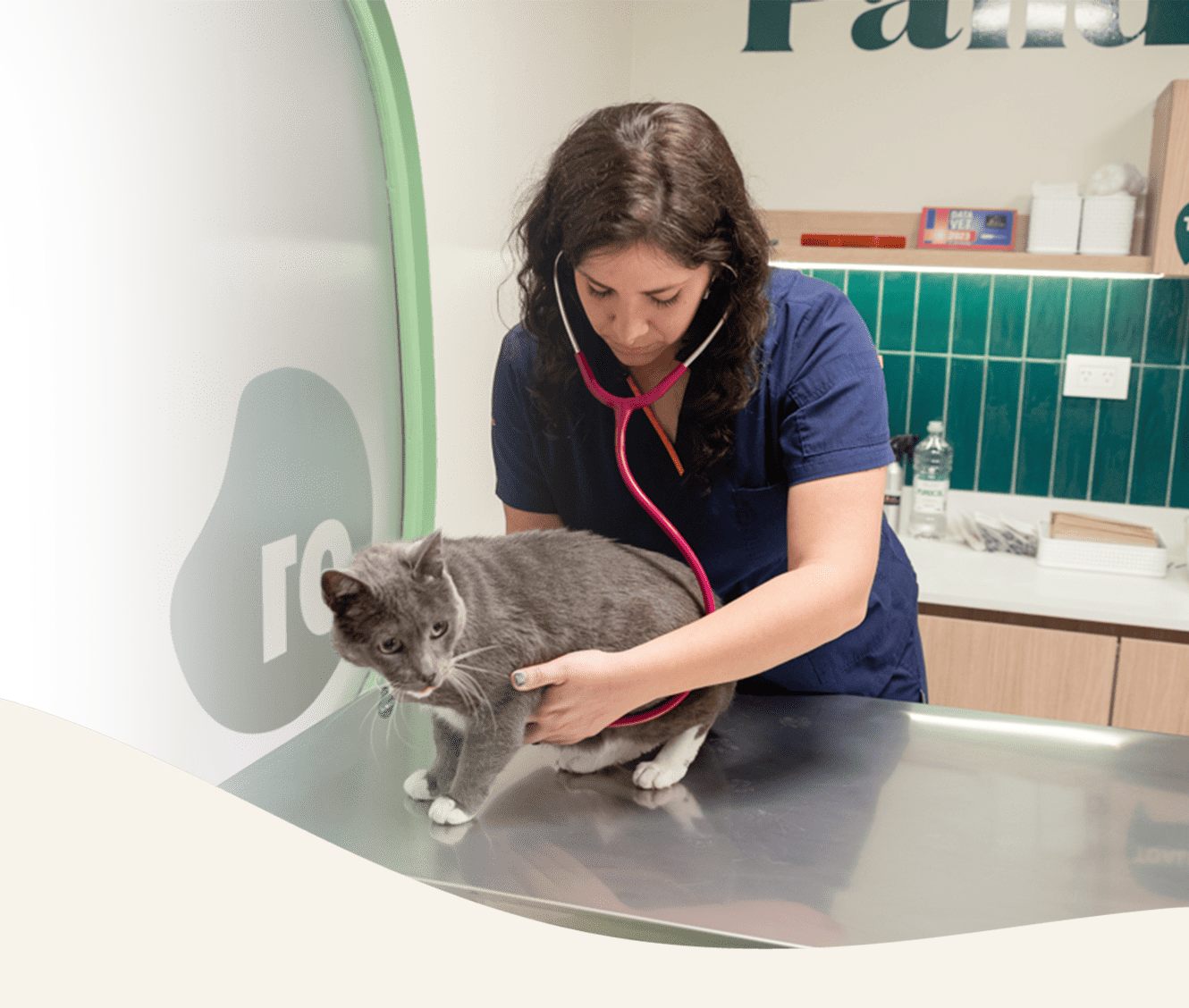 Panda veterinaria clinica veterinaria de alta complejidad